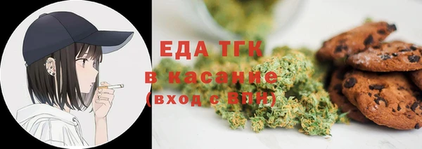 спиды Вяземский