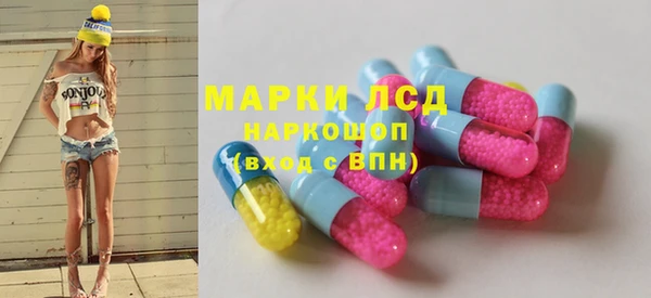 спиды Вяземский