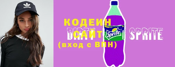 спиды Вяземский