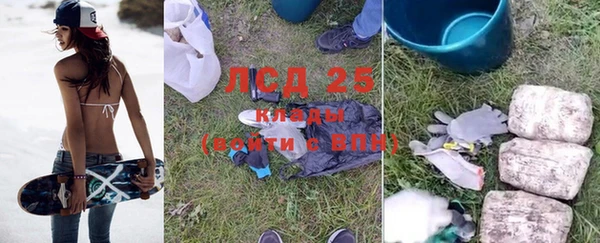 спиды Вяземский