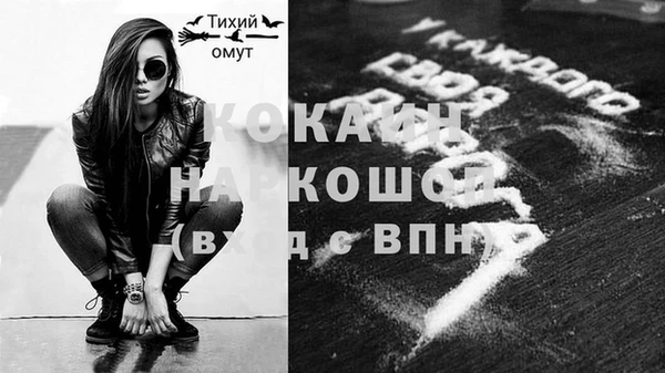спиды Вяземский