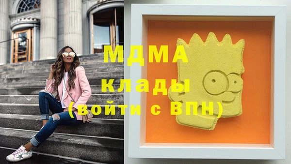 спиды Вяземский