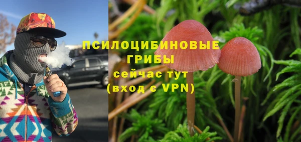 гашик Верея