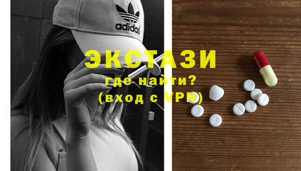гашик Краснослободск