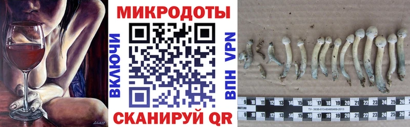 MEGA маркетплейс наркота Дятьково Галлюциногенные грибы мицелий